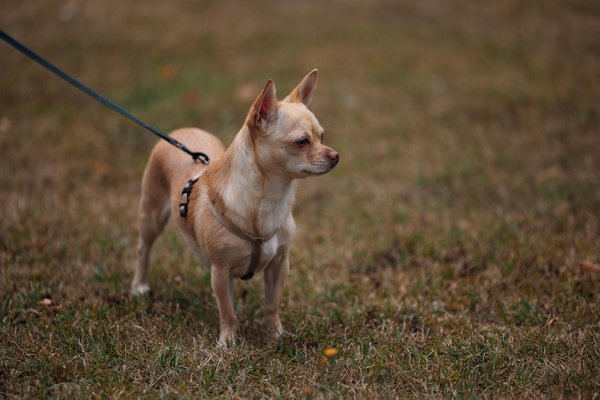 How Is the UK Tackling the Growing Issue of Income Inequality?