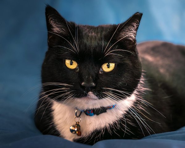 What Are the Surprising Ways You Can Boost Your Well-Being in the UK?